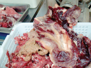 صحة الإسكندرية تضبط جراجـًا يستخدم كمطبخ لمطعم مشهور