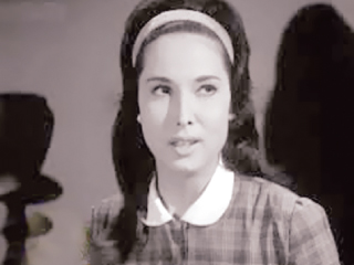 أشرف زكى: نقل مديحة سالم للمستشفى بعد تدهور حالتها