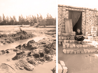 .. وجرفت المحصول بمحافظة البحيرة