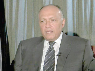 شكرى يبحث تطوير العلاقات مع رئيسة «العلاقات الخارجية» بالبرلمان الكورى