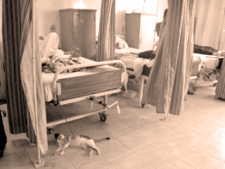 «دار السـلام» بلا خـدمـات