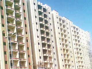 مستعمرة «الغشام» تلتهم 50 ألف فدان من الأراضى الزراعية