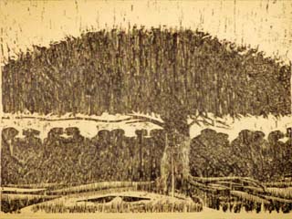 واحة الإبداع:  إهداء لشعب السويس البطل