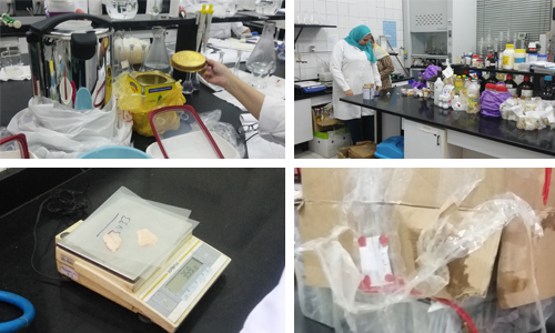 «روز اليوسف»  داخــل  غرفة أسرار وزارة الصحة