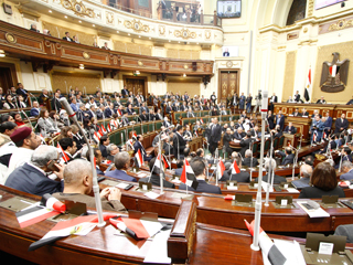 الخبراء يطالبون النواب بمشاهدة ما قاموا به