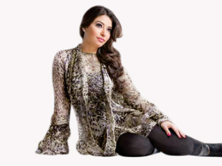 الساحة الغنائية تشهد عودة مطربين مع بداية 2016