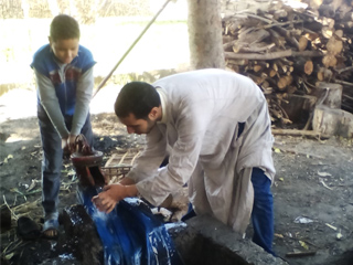 «الانبعاثات الغازية» قاتلة للطبيعة والإنسان والحيوان والنبات