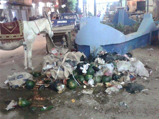 «عبدالباسط» محافظا لـ«شبين الكوم» فقط