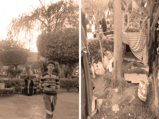 بوابة الإسكندرية تكلفت الملايين فأصبحت غابة موحشة