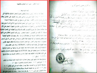 بالمستندات.. «الفئران» تتحكم فى نتائج تحليل الأغذية بالدقهلية