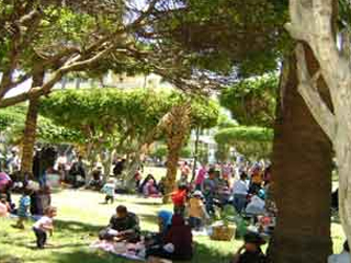 تعاون  كامل بين الأجهزة الحكومية  فى احتفالات المحافظات بشم النسيم