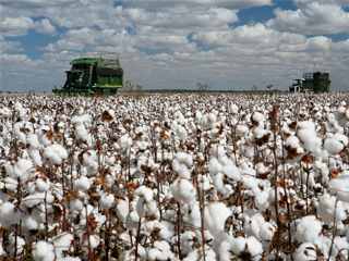 لماذا لا تعود الدولة إلى زراعة وتصنيع  ما لم تنتجه؟