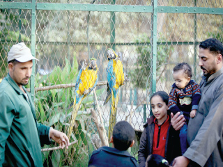 الحدائق العامة والشواطئ «كامل العدد»