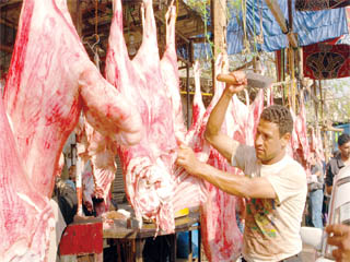 اللحوم البلدى تواصل ارتفاعها..والخبراء يؤكدون أن أسعار الأعلاف هى السبب