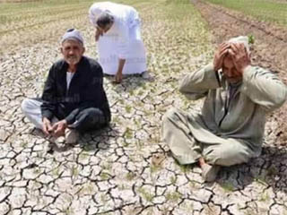 «مطاى».. عطشانة