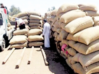 أكبر قضية فى توريد القمح
