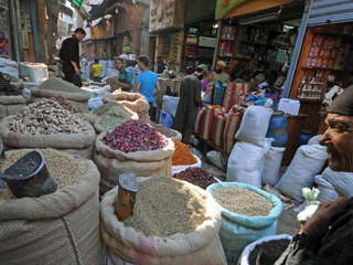 الغرباوية يلجأون لـ «الأعشاب» هرباً من ارتفاع أسعار الأدوية