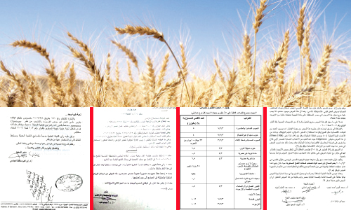 وزير الزراعة يصدر قرارا باستيراد القمح المصاب «بالأرجوت» المسرطن