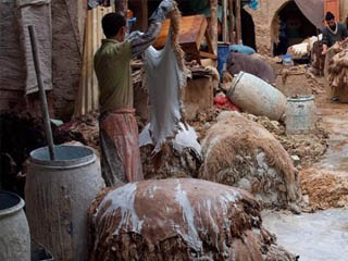 رئيس التصديرى للجلود: بدء نقل مدابغ الجلود  إلى مدينة الروبيكى منتصف الشهر الحالى