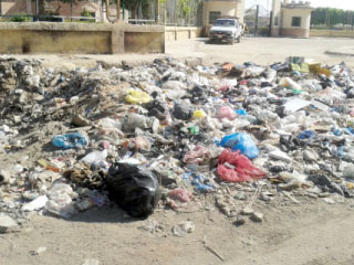 الدالى:  «حلوة يابلدى» لمواجهة «القمامة» بالجيزة.. وبمشاركة طلاب الفنون الجميلة