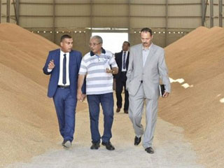 «تقصى الحقائق فى فساد القمح» ترفض اتهامها بمخالفة اللائحة