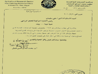 «روزاليوسف» تواصل فتح ملف القمح المسرطن