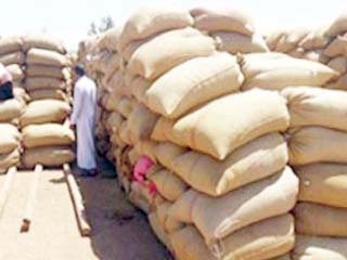 فايد: لم تدخل مصر حبة قمح مصابة بالإرجوت حتى الآن