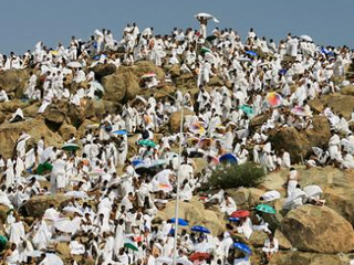 تخصيص خطوط تليفونية للتواصل مع بعثة الحج السياحى بالأراضى السعودية