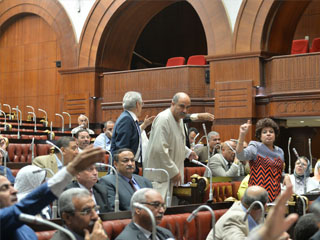 البرلمان يستقبل وزيرى الزراعة والرى بـ «الخناقات»