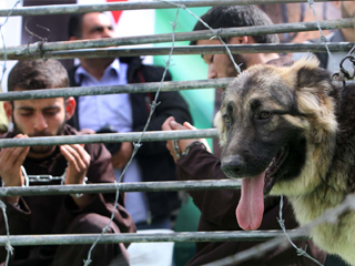 إسرائيل توقع صفقة أسلحة مع الهند بـ 630 مليون دولار.. وإضراب الأسرى يدخل يومه الـ36