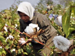 «الوطنى للاعتماد» يعتمد معملين فى مجالات الكشف عن هوية القطن المصرى والمنشطات للرياضيين