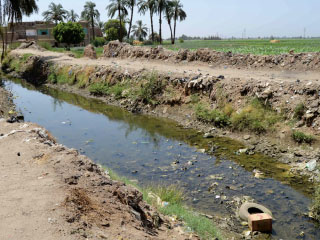 المادة 54 تسمح بمشاركة القطاع الخاص فى إدارة وتشغيل وصيانة الترع