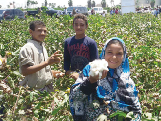 تفاءلوا منذ التعويم.. التضخم يتراجع  والاحتياطى يتجاوز الـ31 مليار دولار