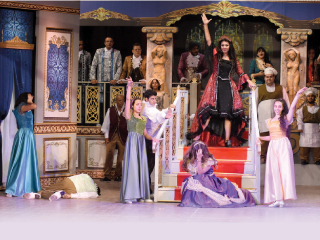 محمد رياض يعيد للمسرح أمجاده فى «الحفلة التنكرية»!