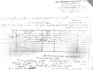 « قمح بالخشخـاش».. رايح جـاى