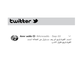 أديب «يسب» الفيشاوى
