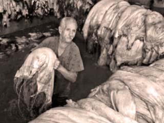 .. والدفعة الأولى من المرحلة الثانية بـ«مدينة الجلود».. قريباً