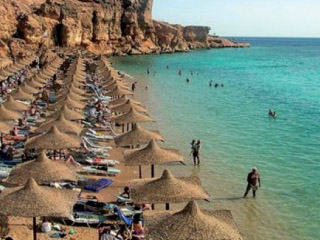 موقع ألمانى: مرسى علم تسحب البساط من جزر الكنارى