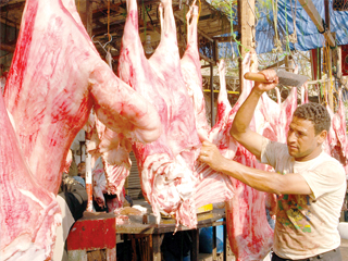 ننشر بالأرقام قواعد صرف البنك الزراعى لقروض «البتلو»