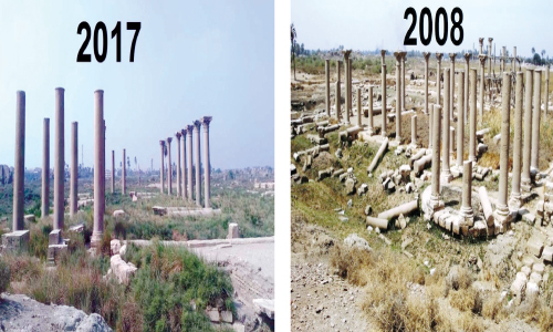 «الأشمونين» تحولت من مدينة مقدسة إلى مأوى للثعابين