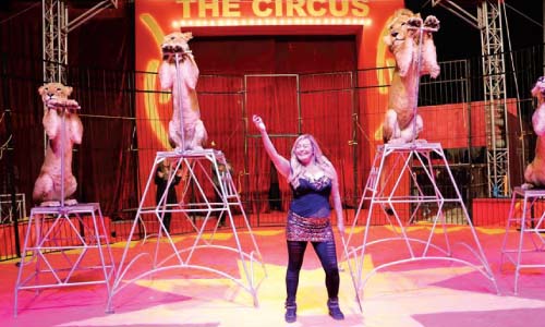 فاتن الحلو: أحذر من كوارث الدخلاء على السيرك