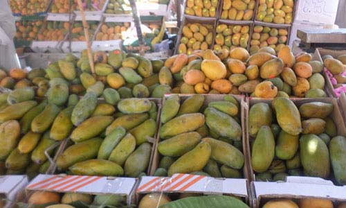 288 مليون دولار صادرات الإسماعيلية من الخضر والفاكهة