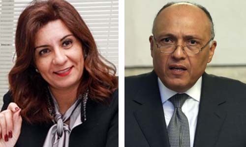 شكرى: القوات المسلحة تقوم بدور مهم فى حماية السواحل المصرية