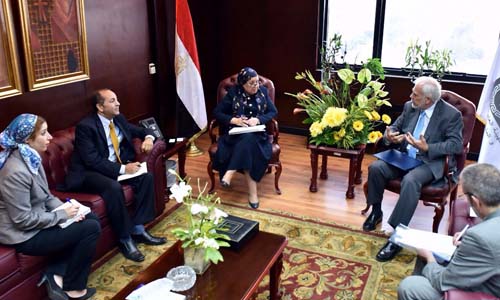 172 شركة يونانية فى مصر باستثمارات 154.9 مليون دولار