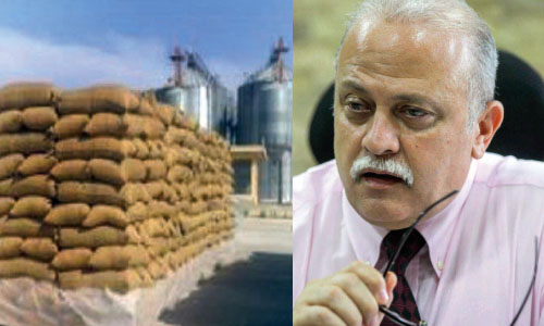 120 ألف طن قمح روسى لدعم الخبز فى 6 أشهر