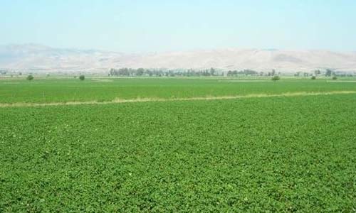 مفاجأة: الضرائب العقارية تحصل ضريبة الأطيان رغم إلغائها