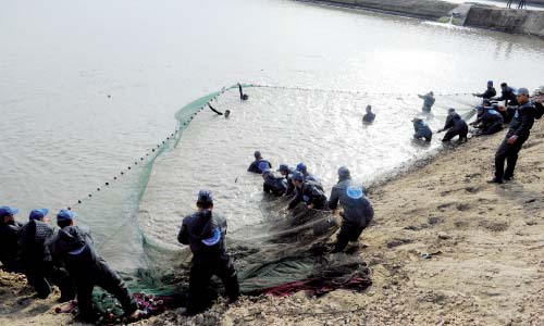 مزرعة سمكية على مساحة 4 آلاف فدان تنتج100طن يومياً