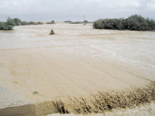 قطاع الأزمات بالوزراء يجرى تدريباً على مواجهة السيول والأمطار بالبحيرة