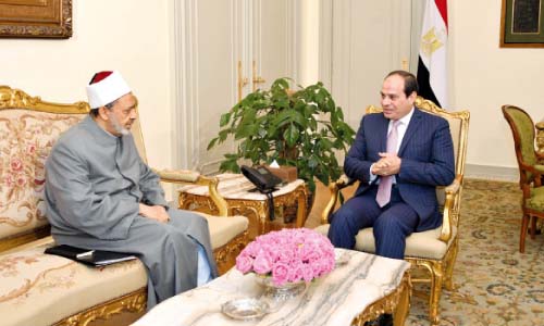 الرئيس يطمئن على ثروات المصريين