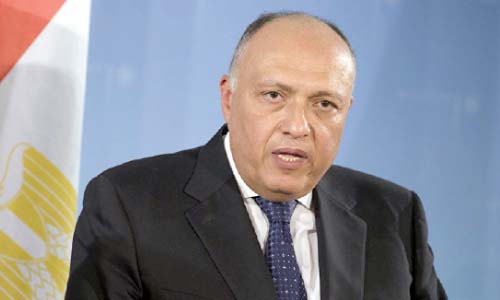 مرفوض.. مصر والإمارات: موقف موحد ضد التدخل الأجنبى فى الشأن العربى